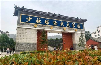 河南嵩山少林塔溝武?？諝饽軣崴?xiàng)目案例